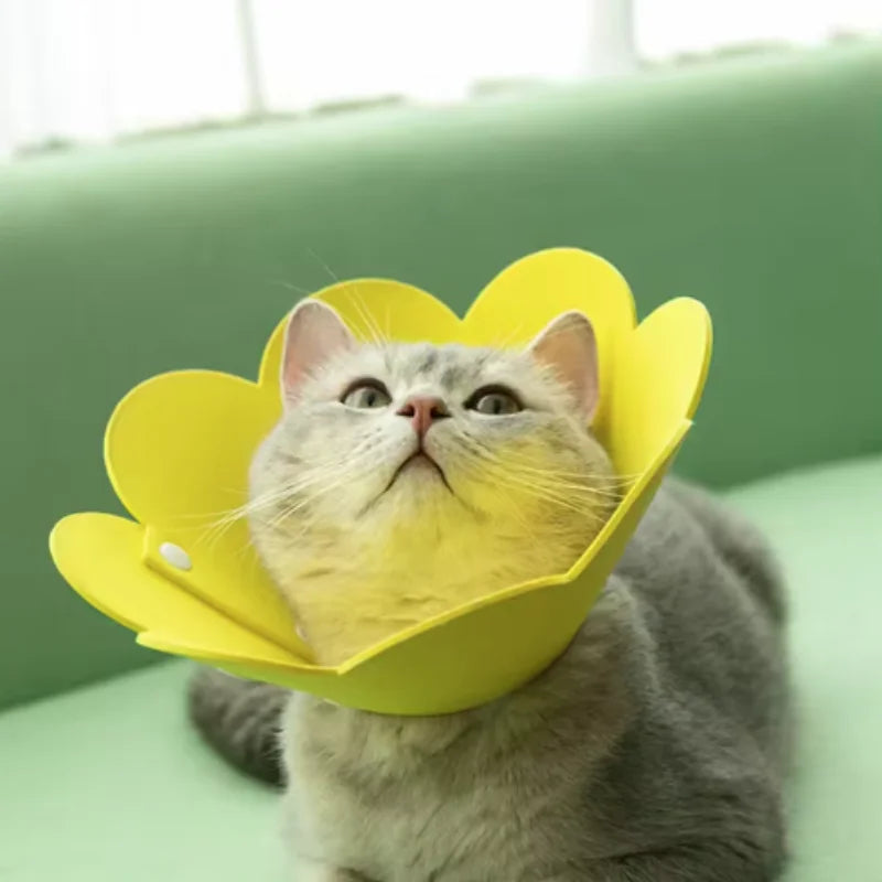 Adjustable Flower Shape Pet Recovery Collar — Protective Cone for Cats and Small Dogs