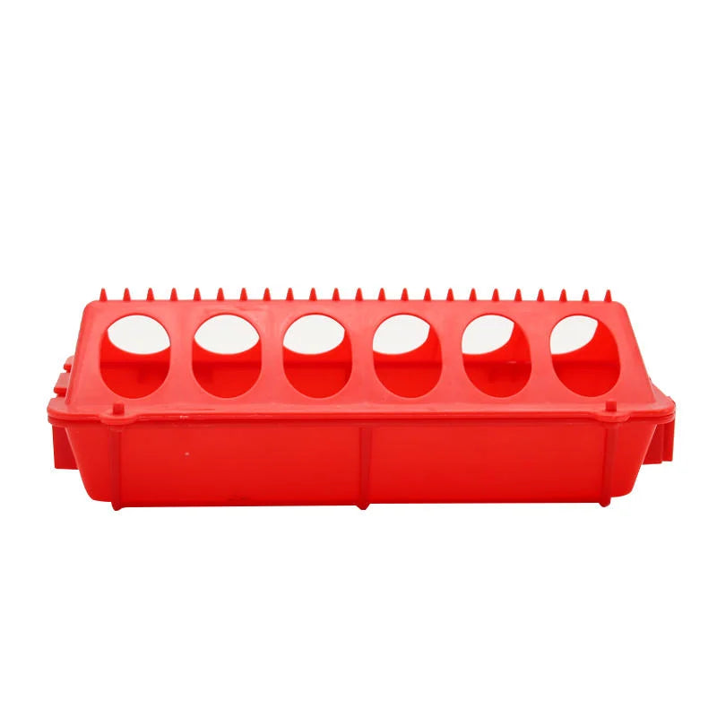 Automatic Poultry Feeder and Waterer — Large Capacity Feeding Trough