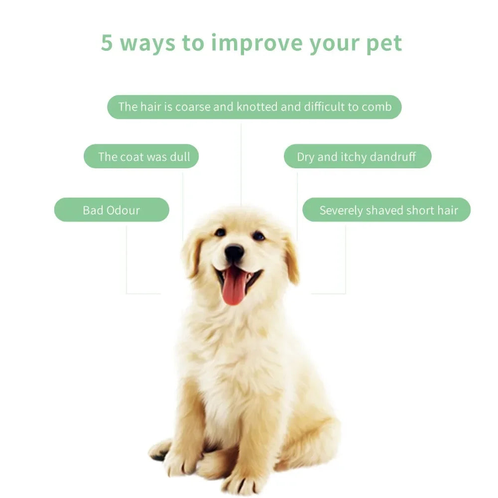 Pet Shampoo — Hypoallergenic Formula