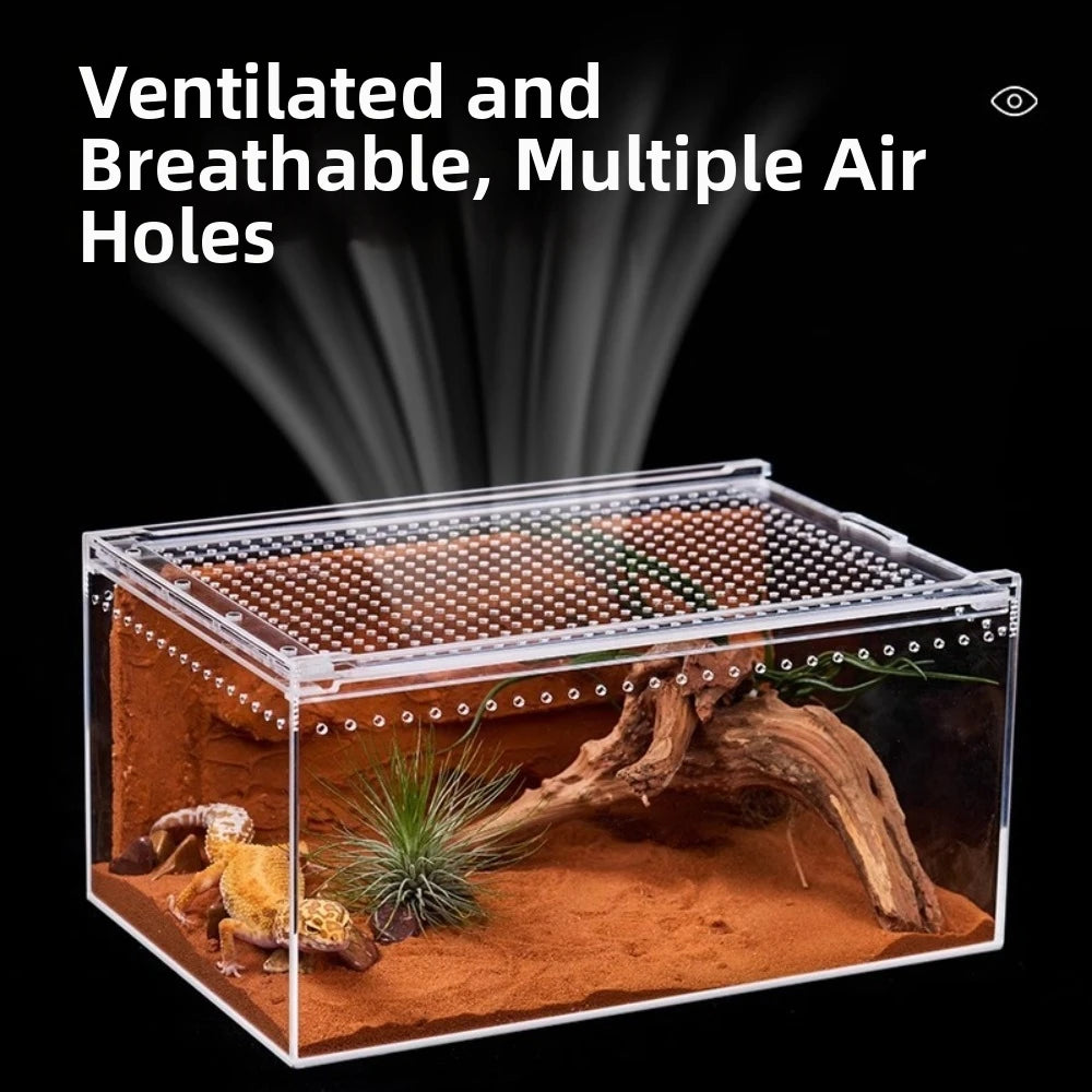Transparent Acrylic Reptile Terrarium — Ventilated Habitat for Geckos and Snakes