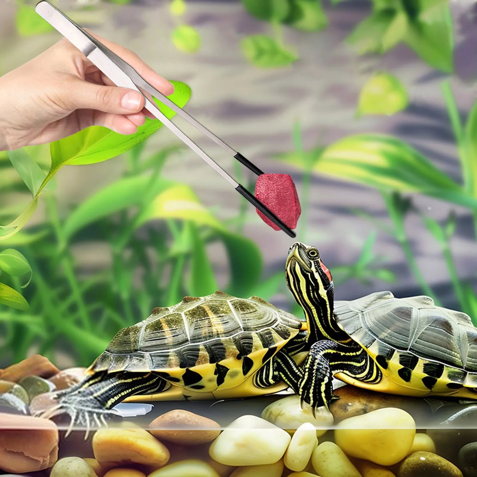 Stainless Steel Feeding Tongs — Precision Bent Tip Tweezers for Reptiles and Crafts