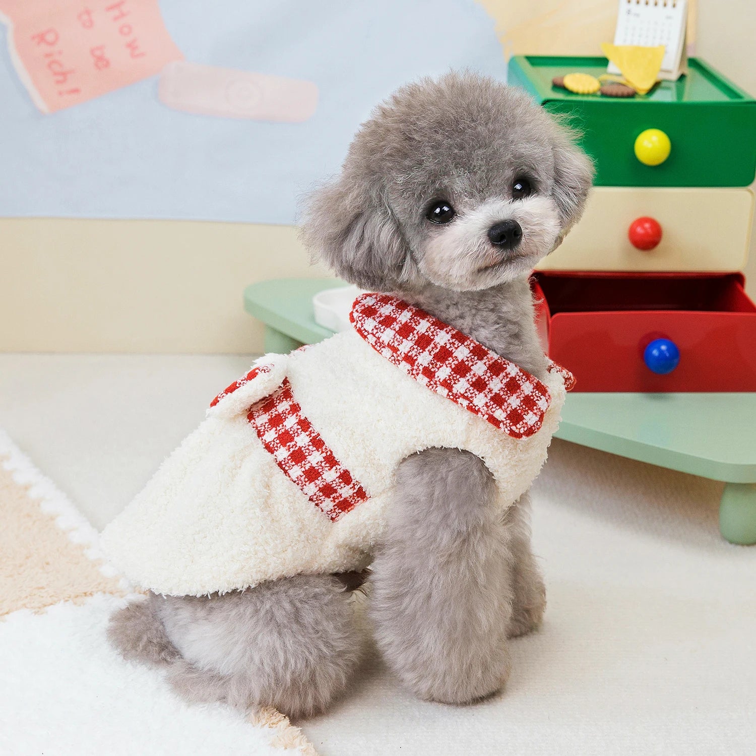 Plaid Dog Jacket and Dress Set — Stylish Autumn/Winter Pet Outfits