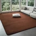 VIKAMA Modern Coral Velvet Carpet — Soft Non-Slip Area Rug for Home Decor