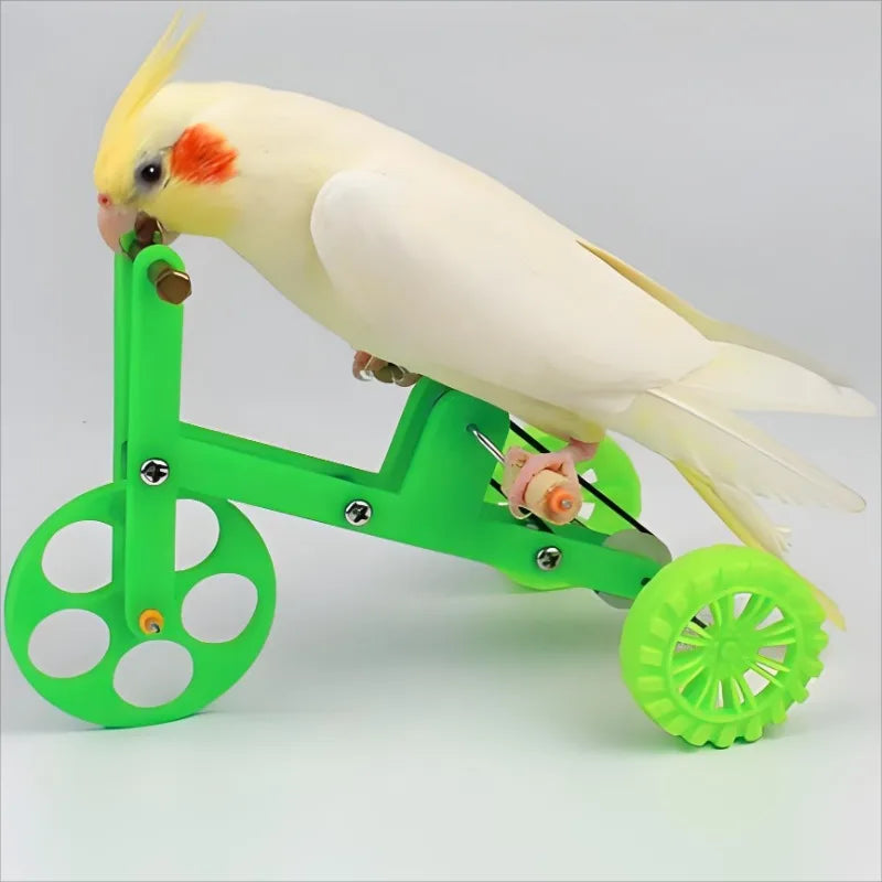 Interactive Parrot Bike Toy — Fun Training Prop for Small Birds