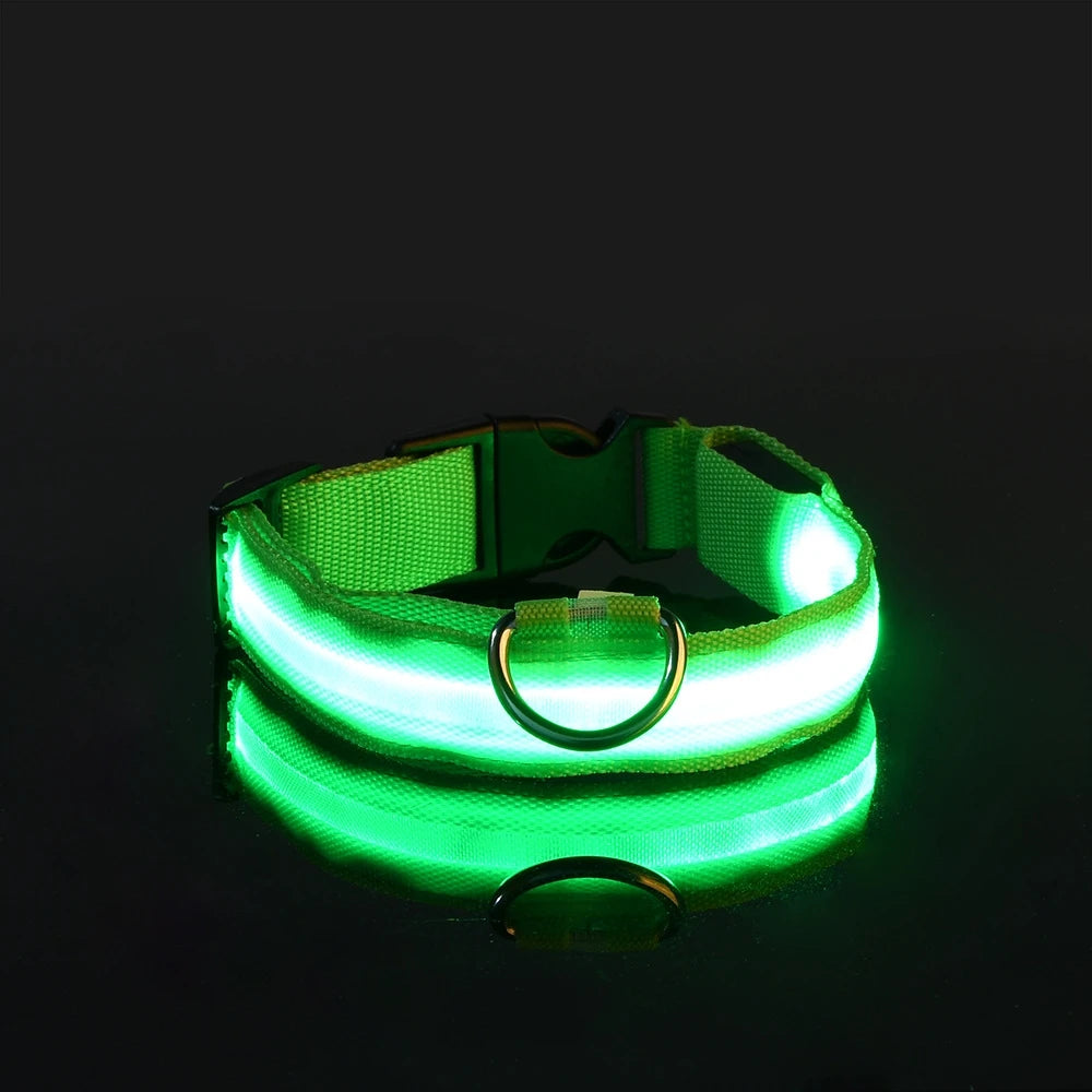 Nylon LED Glow Dog Collar — Luminous Night Safety Pet Accessory