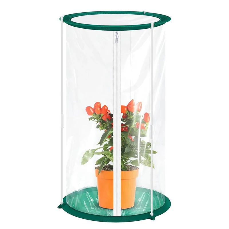 Butterfly Observation Cage — Portable Insect Habitat for Nature Study