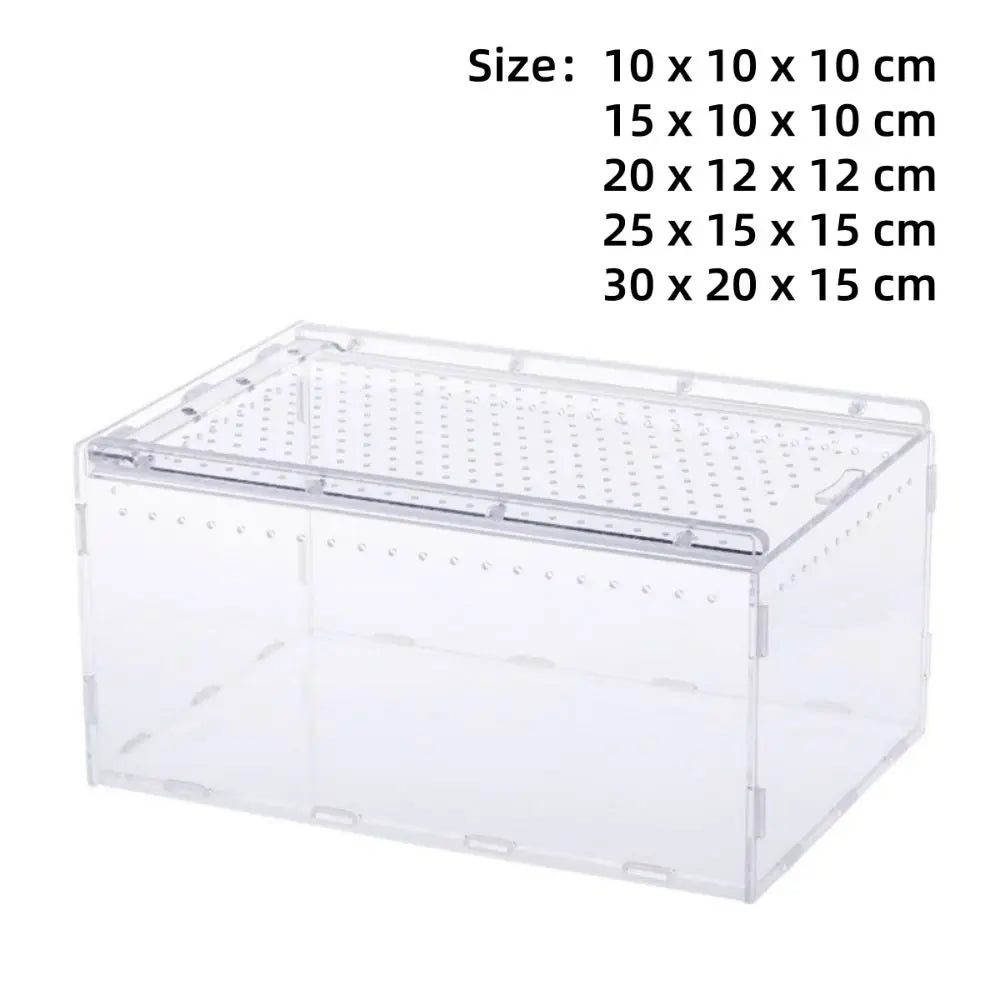 Transparent Acrylic Reptile Terrarium — Ventilated Habitat for Geckos and Snakes