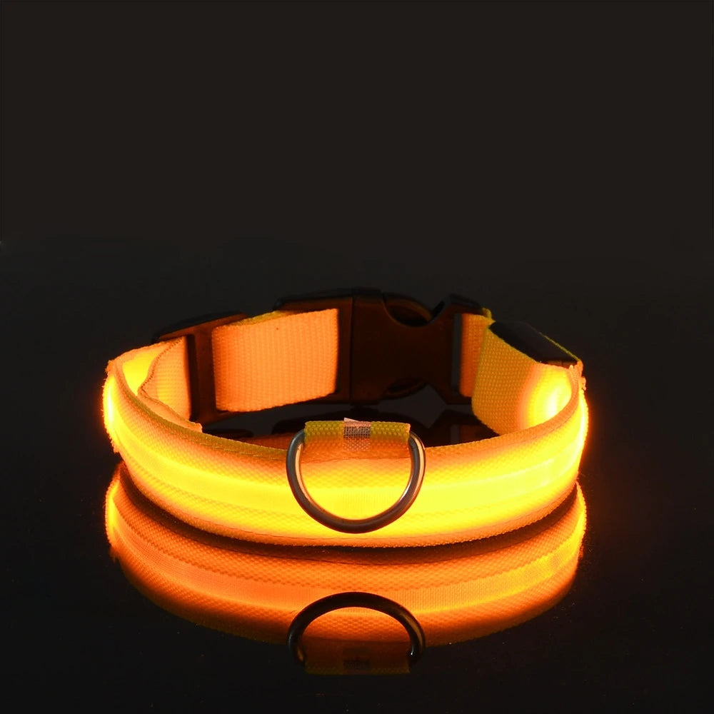 Nylon LED Glow Dog Collar — Luminous Night Safety Pet Accessory