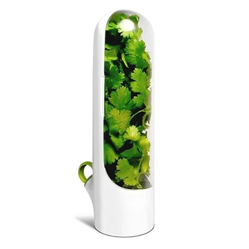 Fresh Herb Storage Container — Airtight Vegetable Preservation Bottle