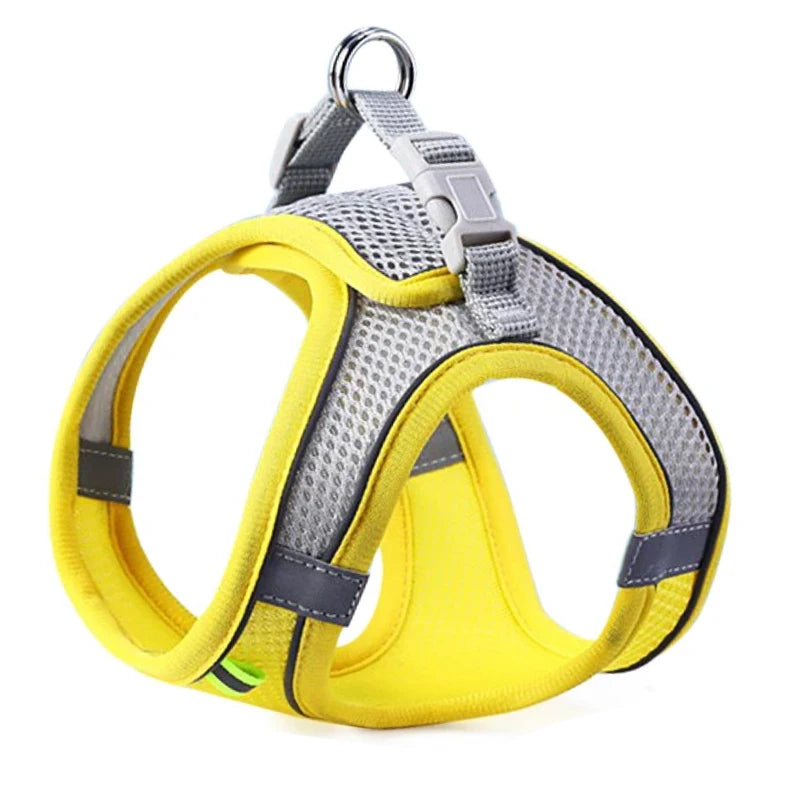 Reflective Pet Harness and Leash Set — Breathable Mesh Vest for Small to Medium Dogs