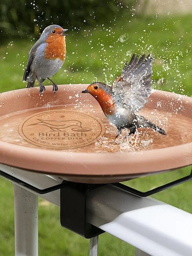 Copper Bird Bath Purifier Disk — Stable Outdoor Water Cleaner