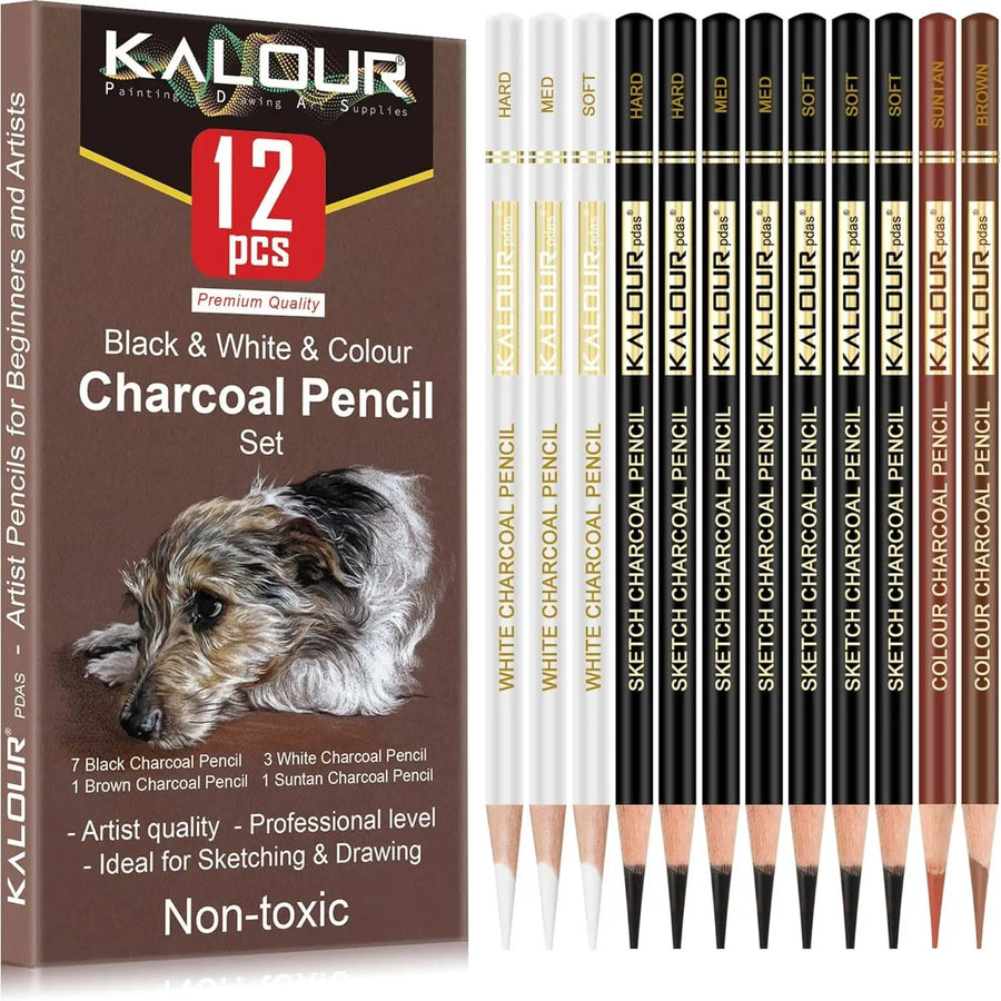 12 Piece Charcoal Pencil Set — Professional Sketching and Shading Tools