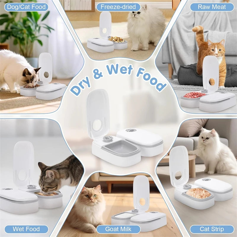 Automatic Pet Feeder — 48-Hour Timed Food Dispenser for Cats and Dogs