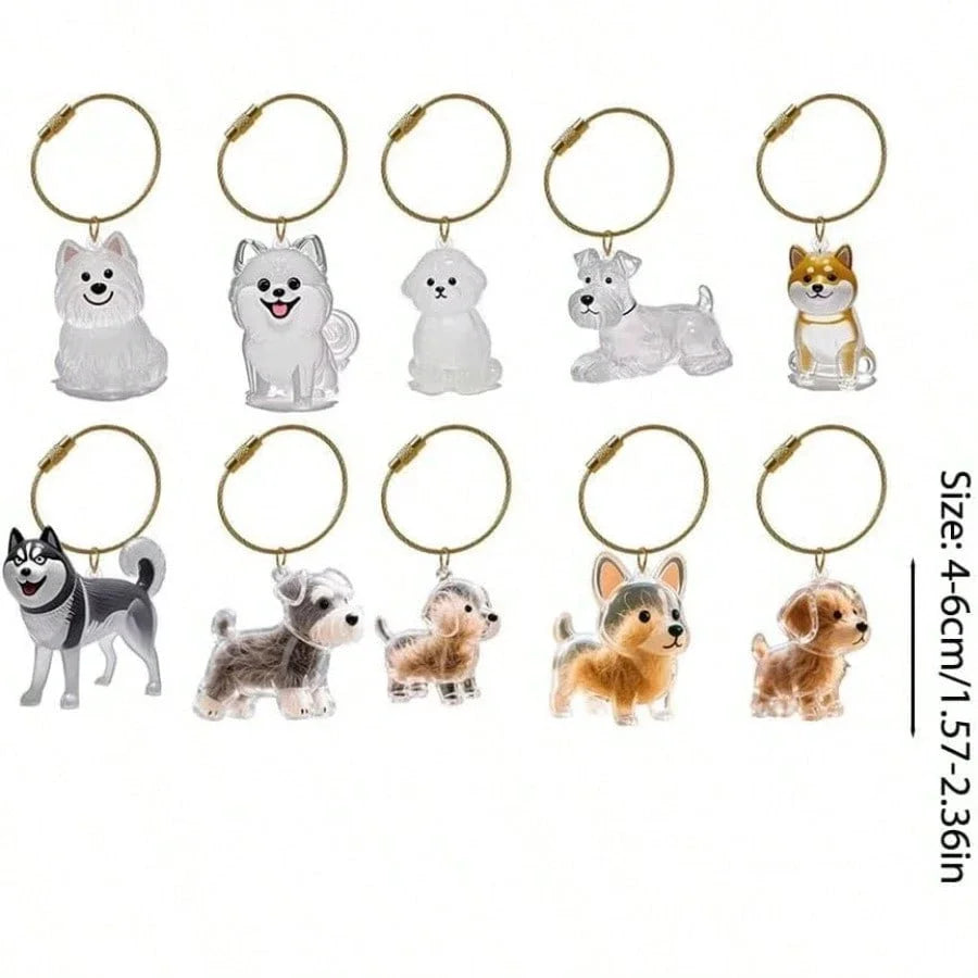 Pet Hair Memorial Keepsake Capsule — Transparent Keychain Pendant for Pet Lovers