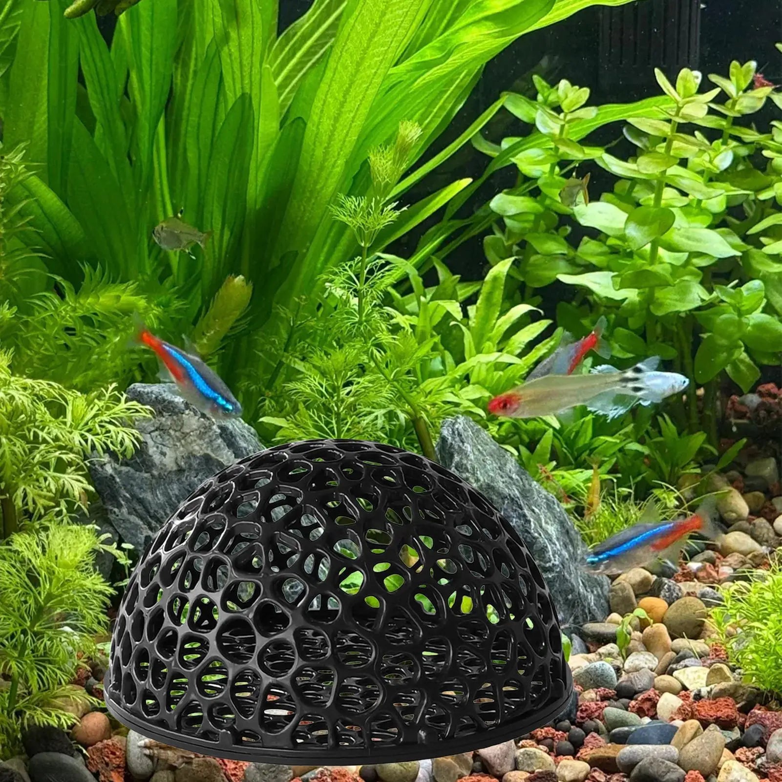 Shrimp Breeding Cave — Aquarium Hiding Place and Fish Habitat