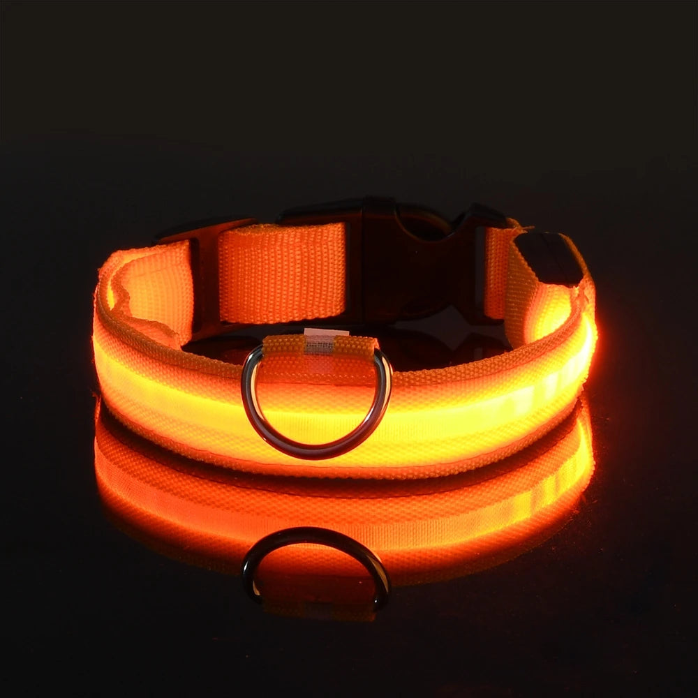 Nylon LED Glow Dog Collar — Luminous Night Safety Pet Accessory