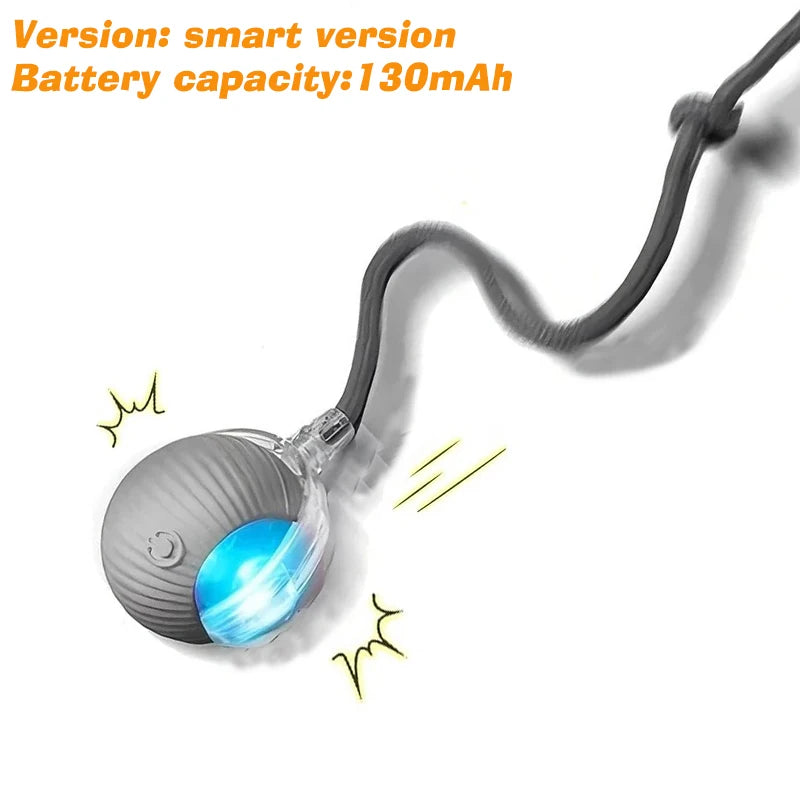 Right Cat Interactive Rolling Dog Ball — Smart Automatic Pet Toy