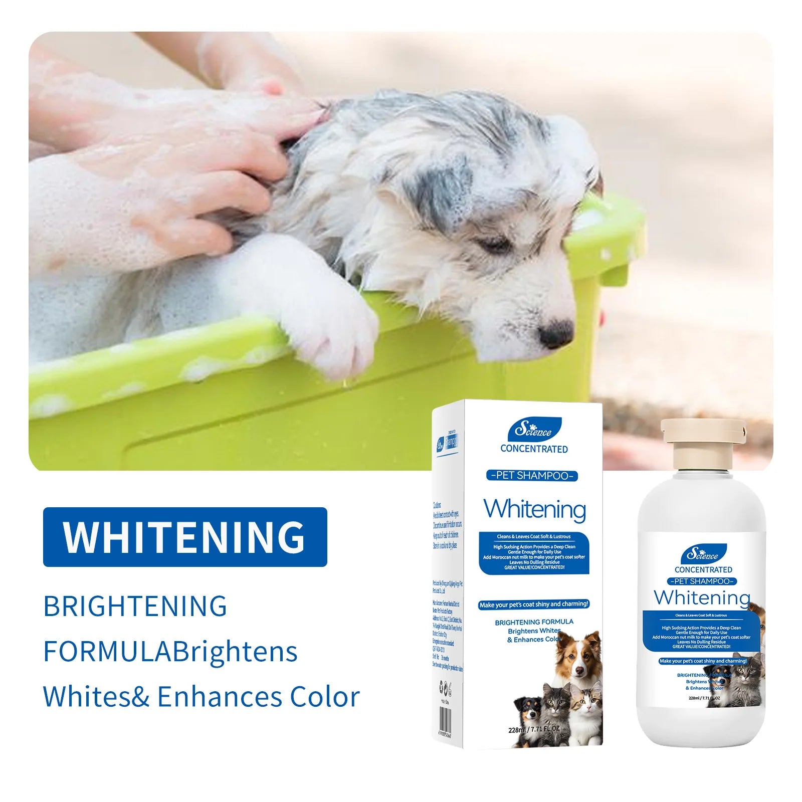Pet Shampoo — Hypoallergenic Formula