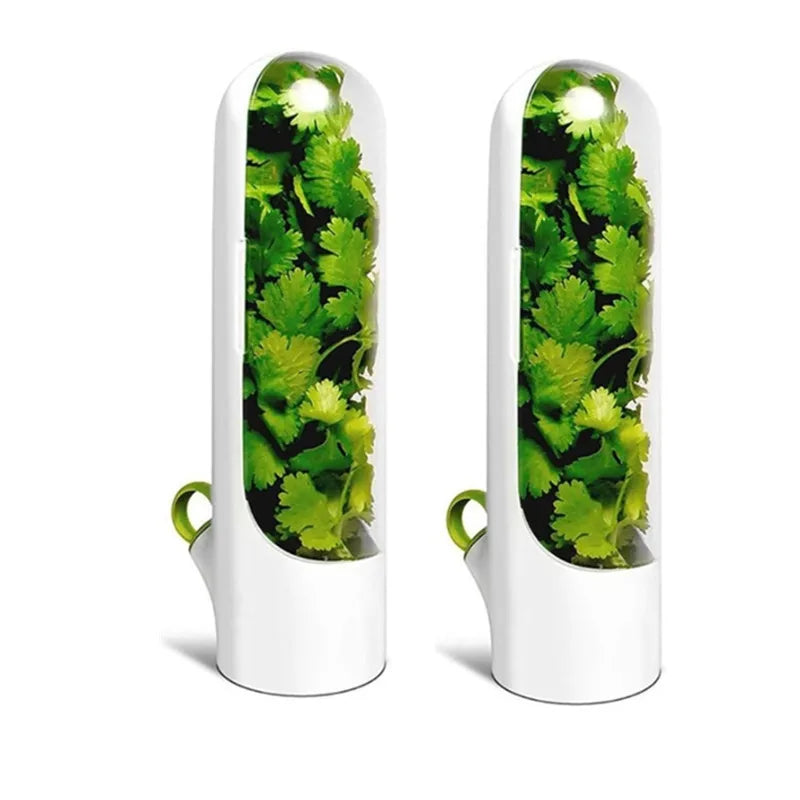 Fresh Herb Storage Container — Airtight Vegetable Preservation Bottle