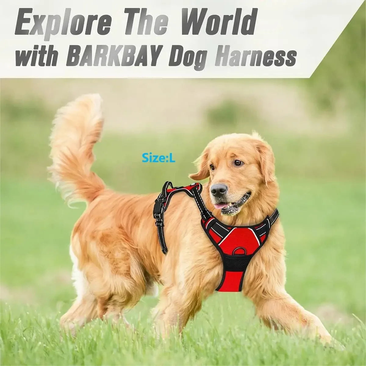 BeiYu Pet Dog Harness and Collar Set — Comfortable Vest and Leash Kit