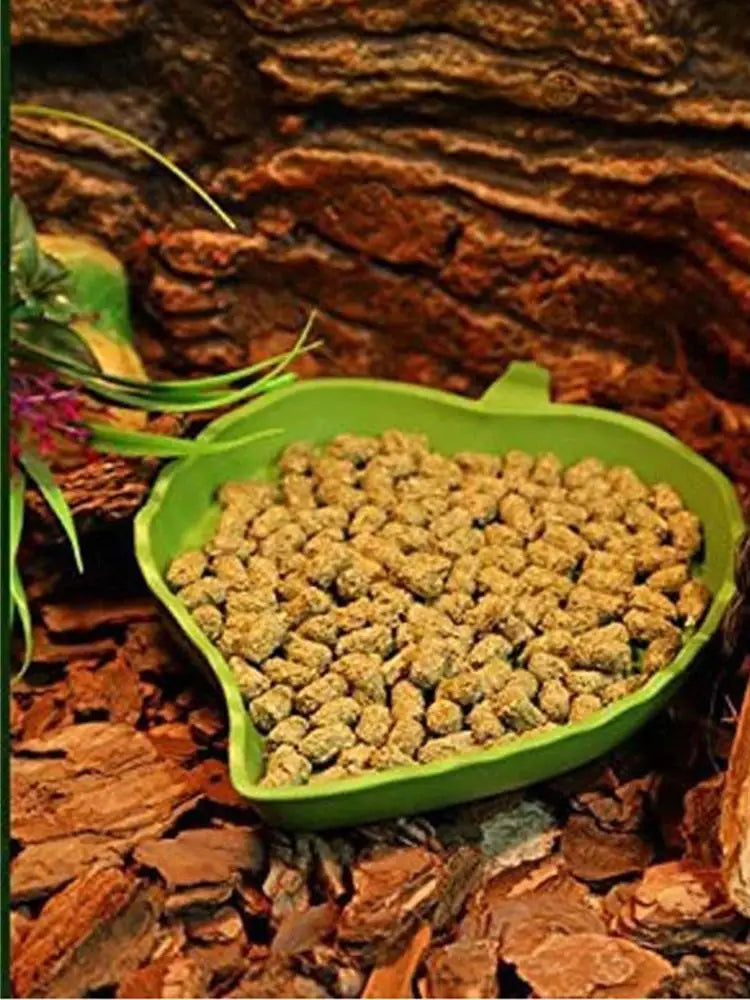Leaf Shape Reptile Food and Water Bowl — Shallow Feeding Dish for Small Pets