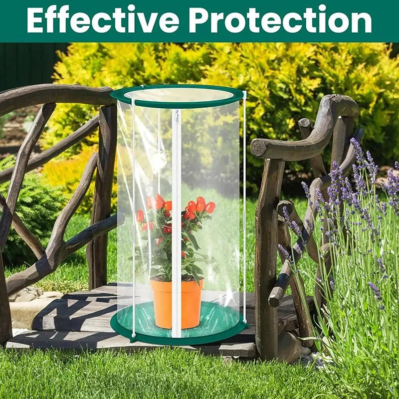 Butterfly Observation Cage — Portable Insect Habitat for Nature Study