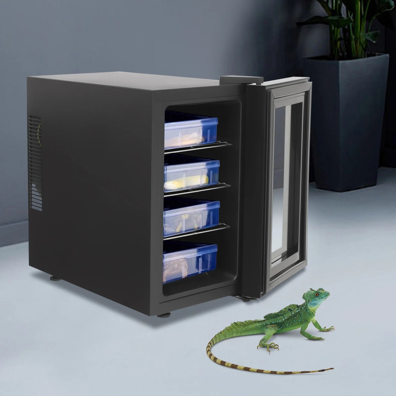 Bymaocar Intelligent Reptile Incubator — Constant Temperature & Humidity Hatching Box