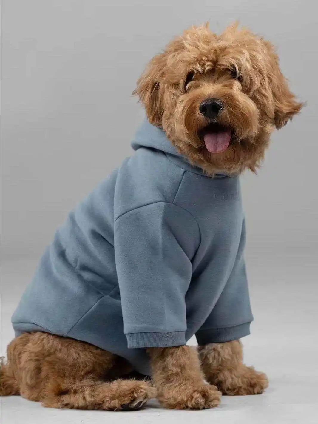 Warm Pet Hoodie — Soft Cotton Blend Sweatshirt with Leash Opening