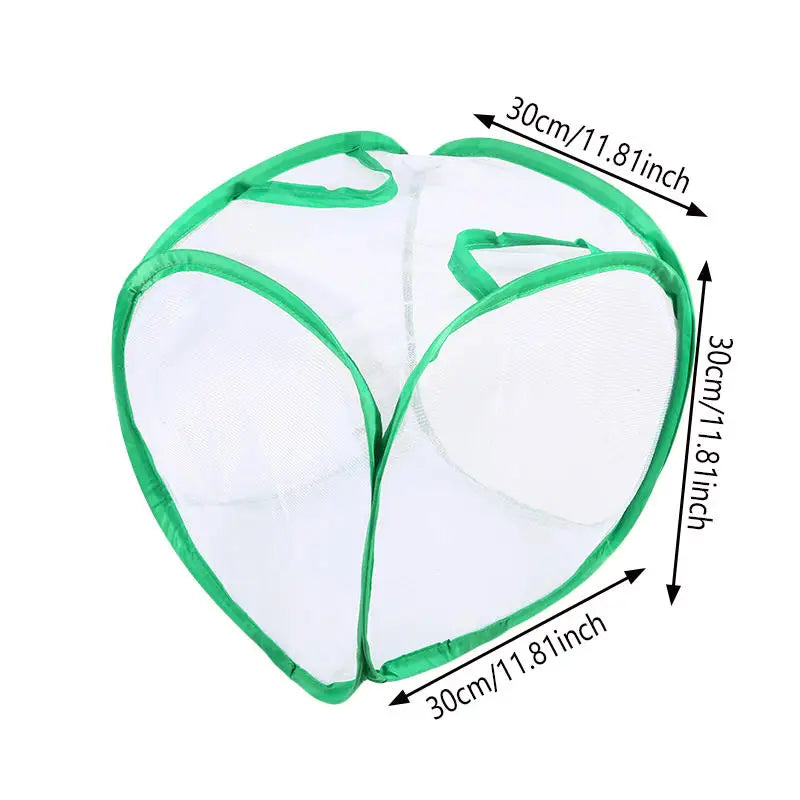Collapsible Mesh Insect Cage — Outdoor Habitat for Butterfly and Cricket Observation