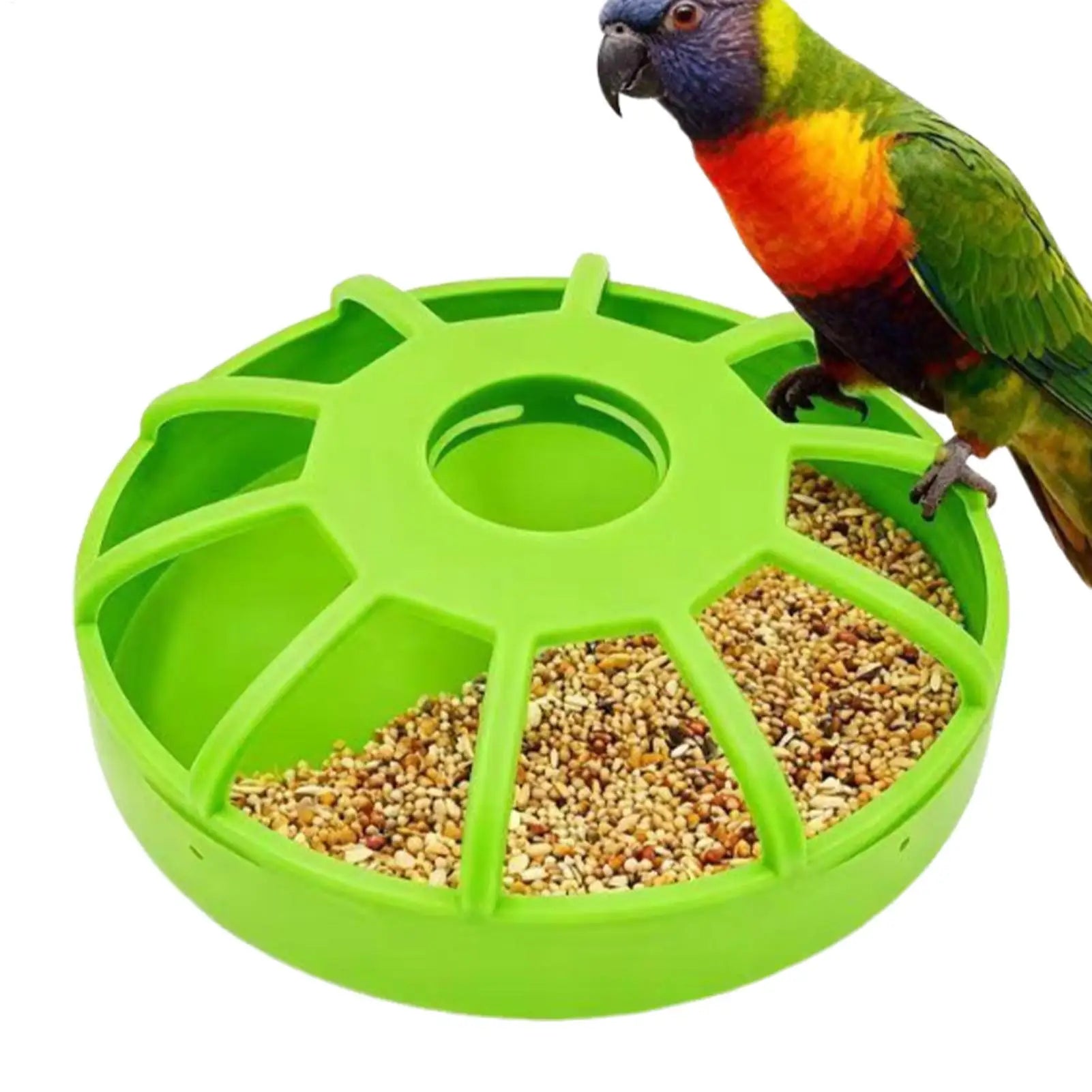 Spill-Proof Poultry Feeder — UV-Resistant Food Dispenser for Birds