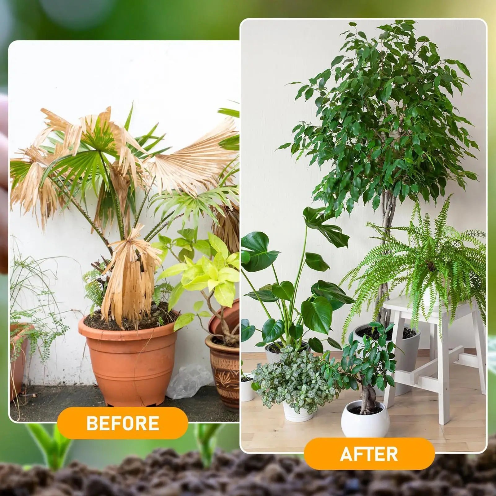 Organic Soil Conditioner & Activator — Nutrient Booster for Plants