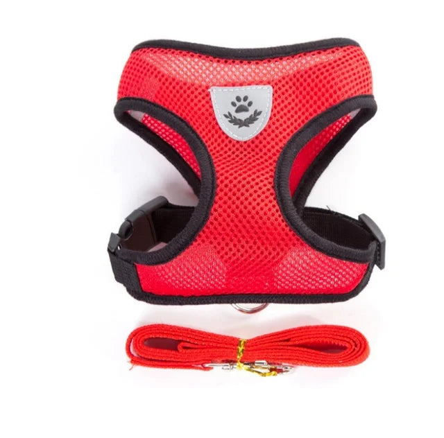 RPXBGUCKARHG Breathable Mesh Pet Harness and Leash Set — Reflective Walking Vest
