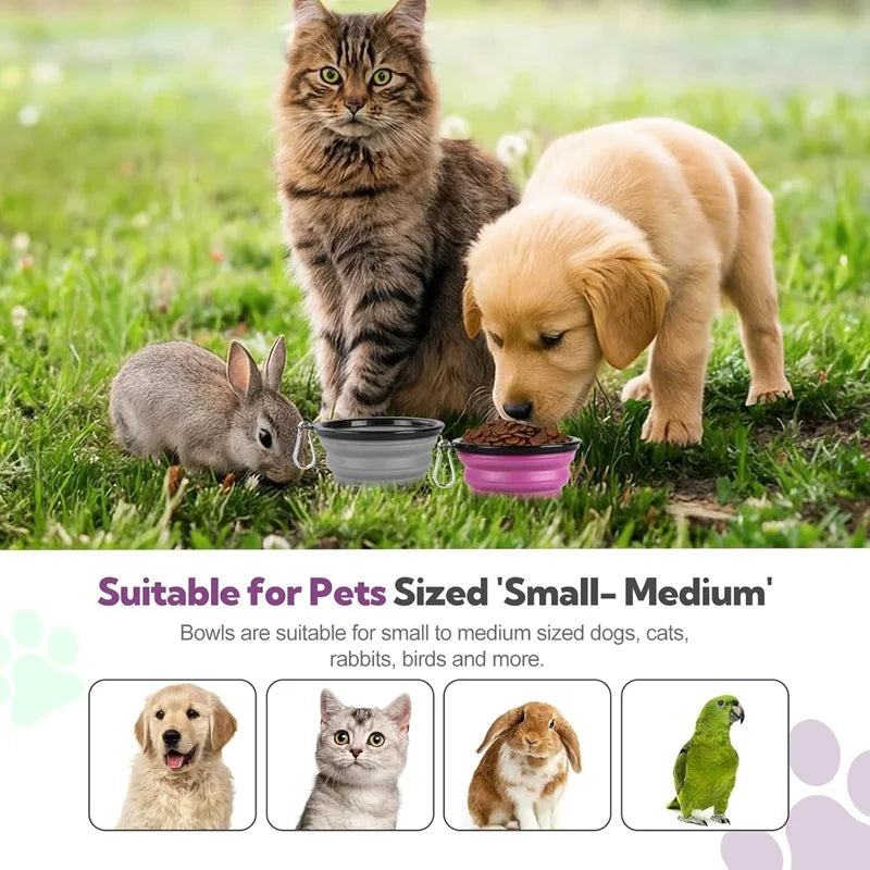 Portable Silicone Pet Feeder — Collapsible 2-in-1 Water and Food Dispenser
