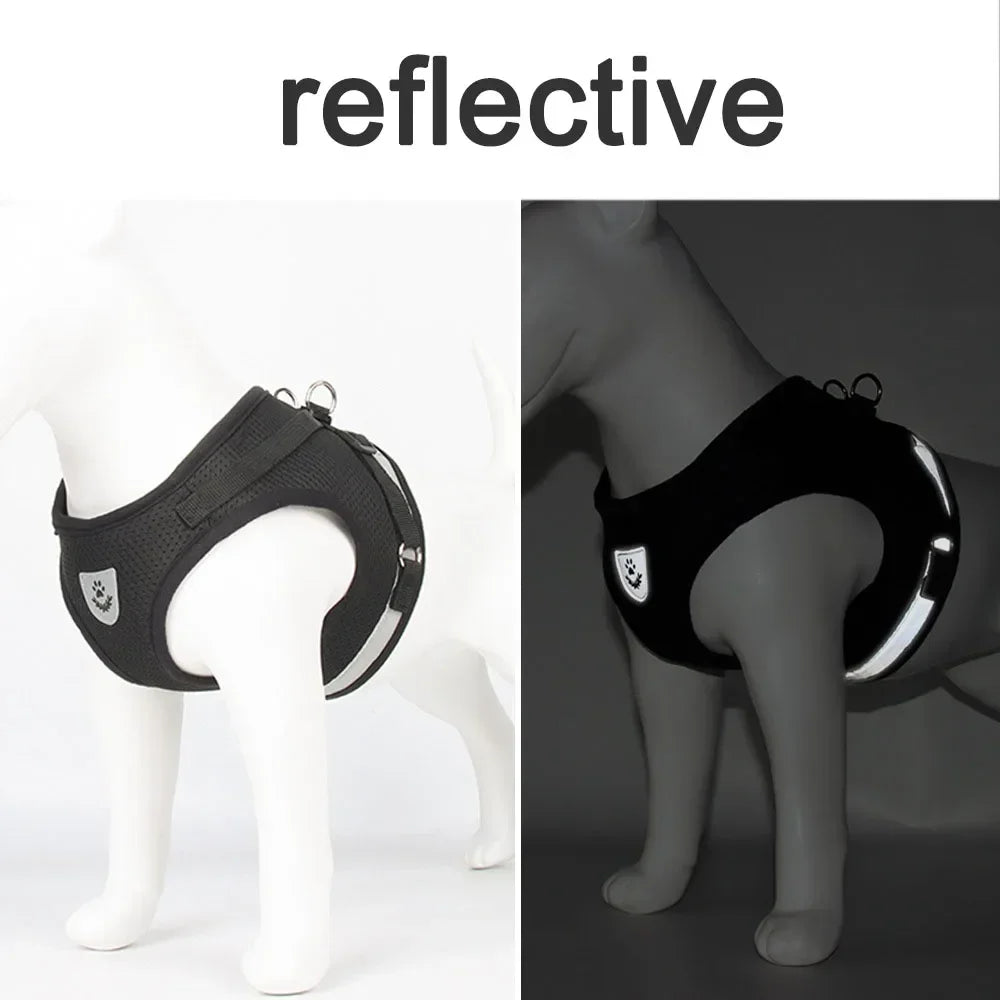 Reflective Mesh Pet Harness and Leash Set — Breathable Adjustable Vest