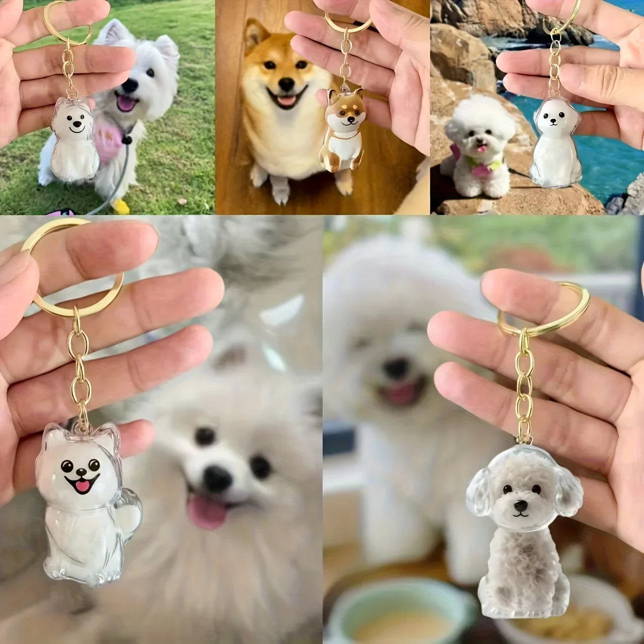 Pet Hair Memorial Keepsake Capsule — Transparent Keychain Pendant for Pet Lovers