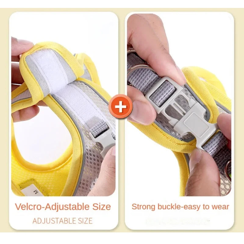 Reflective Pet Harness and Leash Set — Breathable Mesh Vest for Small to Medium Dogs