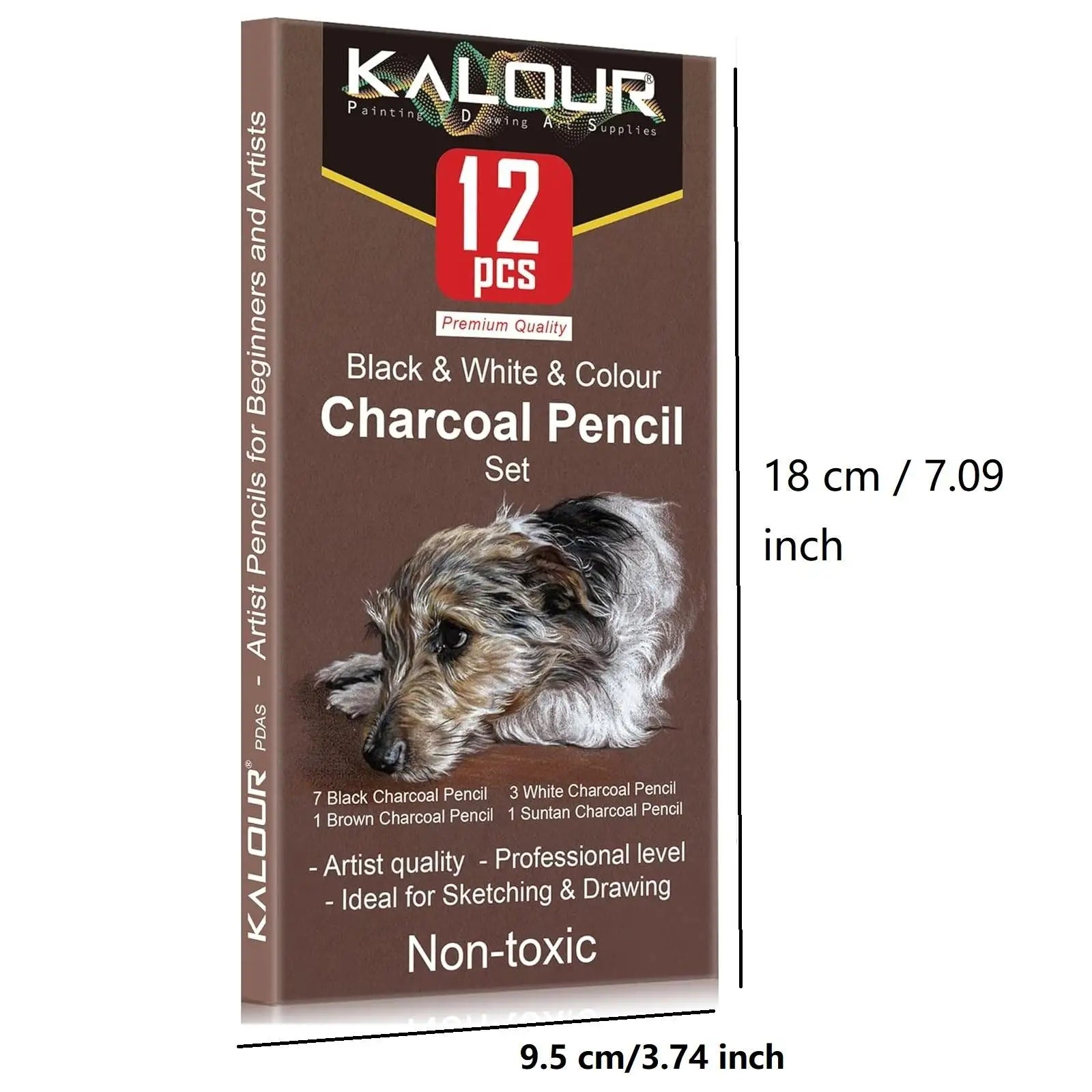 12 Piece Charcoal Pencil Set — Professional Sketching and Shading Tools