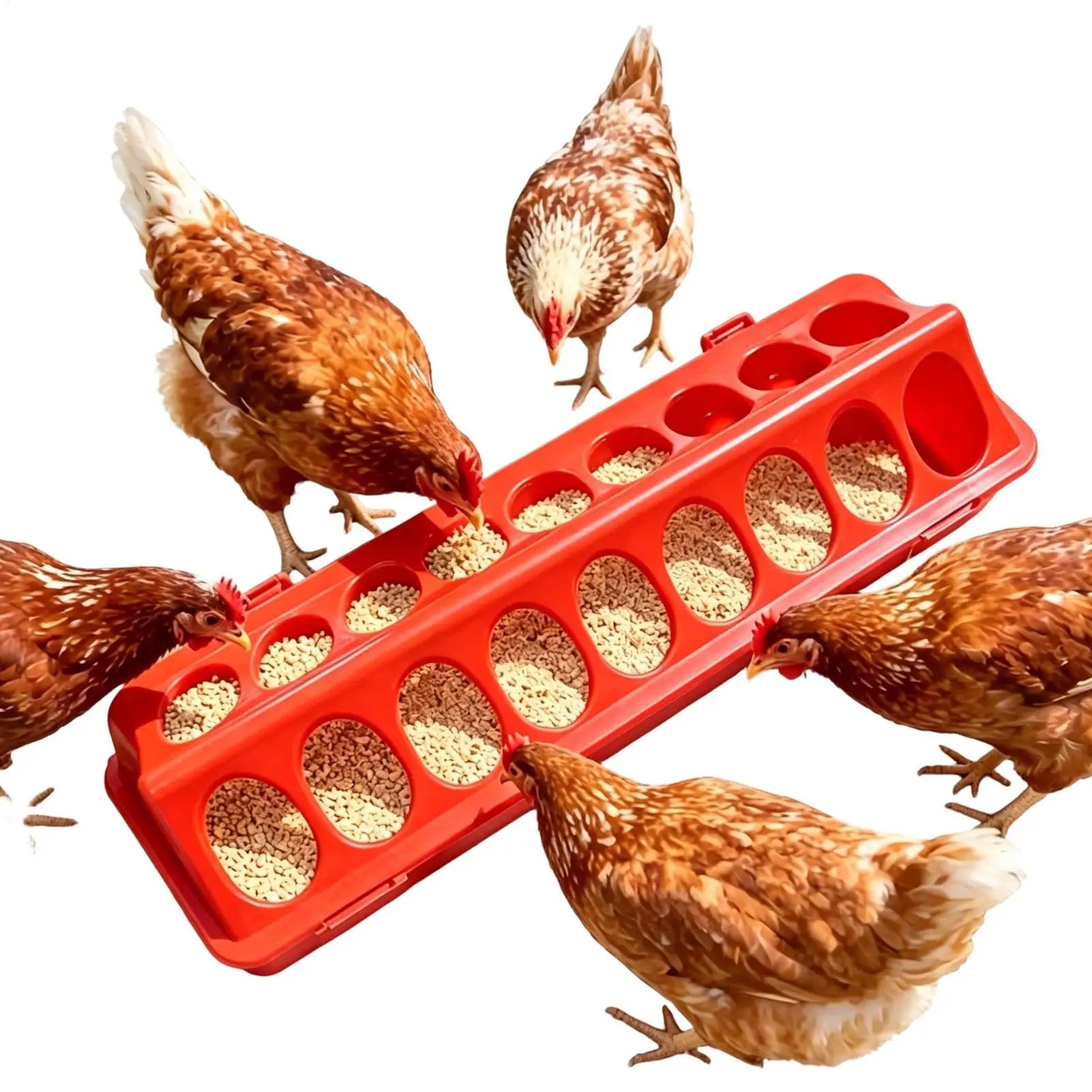 Multi-Bird Poultry Feeder — Spill-Proof Weather-Resistant Station