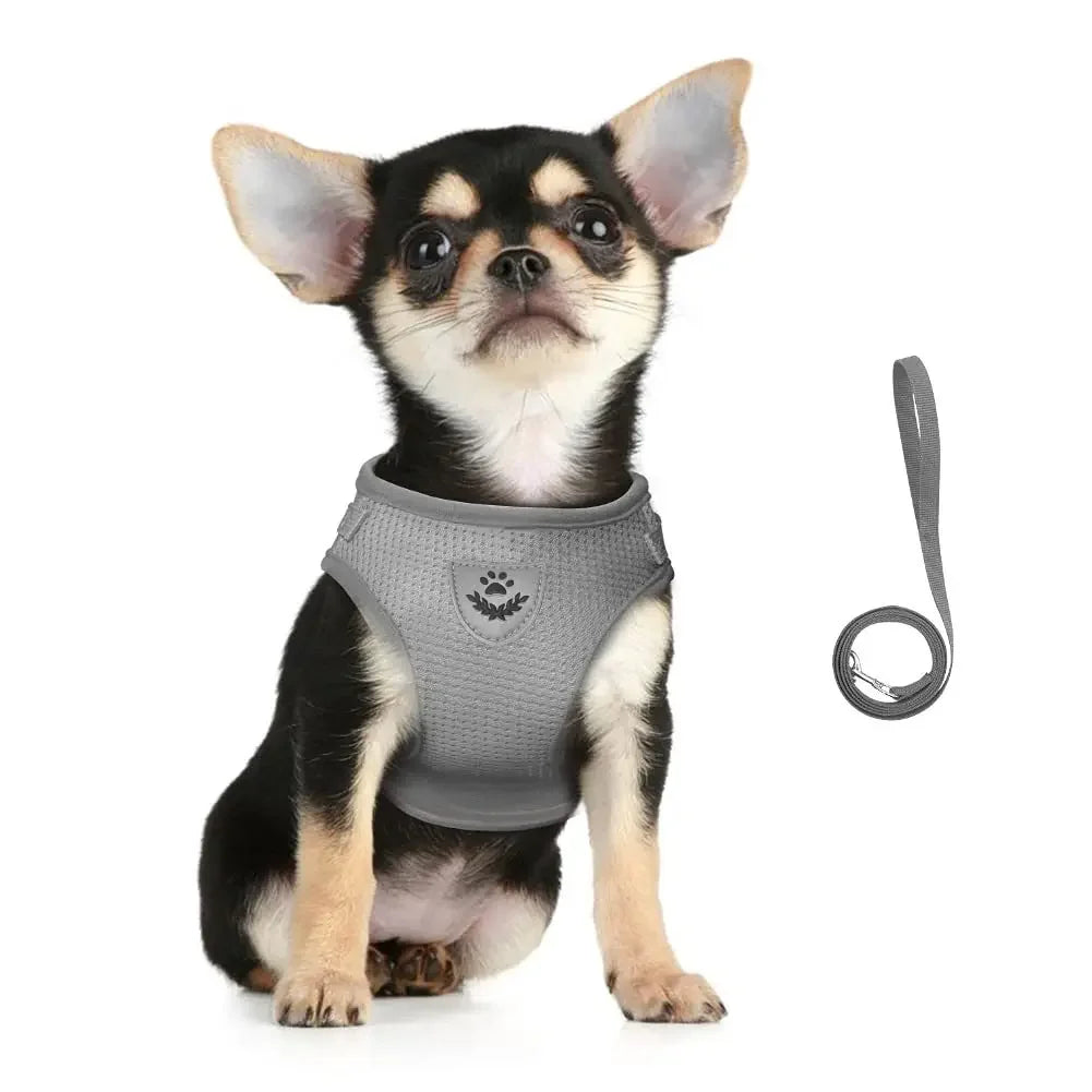 Reflective Mesh Pet Harness and Leash Set — Breathable Adjustable Vest