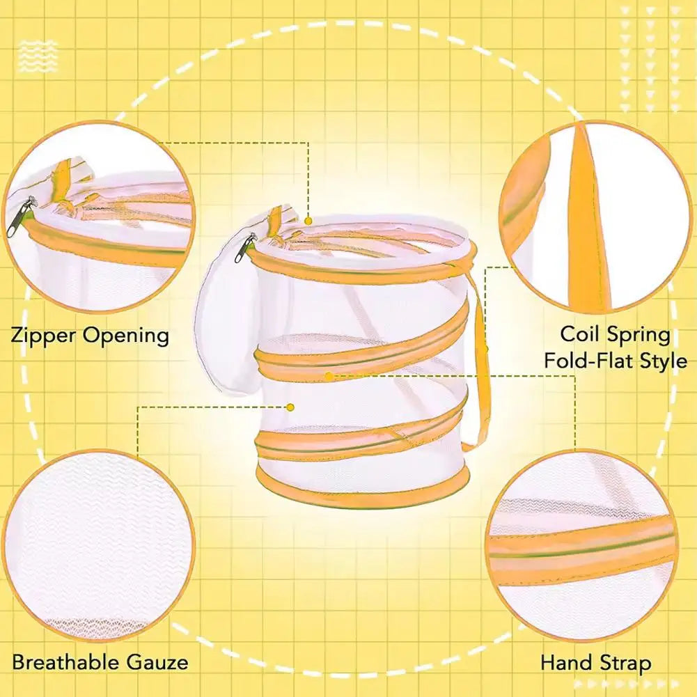 Collapsible Insect Observation Cage — Breathable Mesh Habitat for Butterflies
