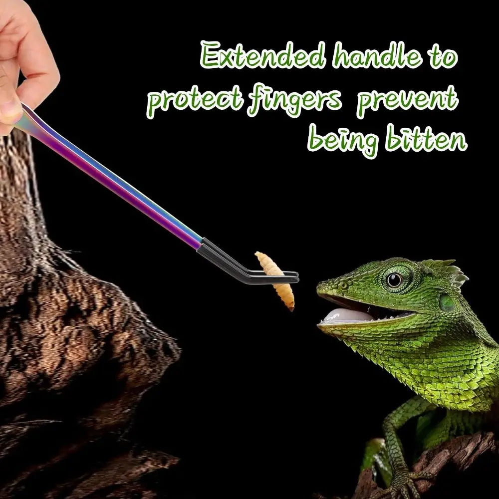 Stainless Steel Reptile Feeding Tongs — Straight and Curved Set with Rubber Tips