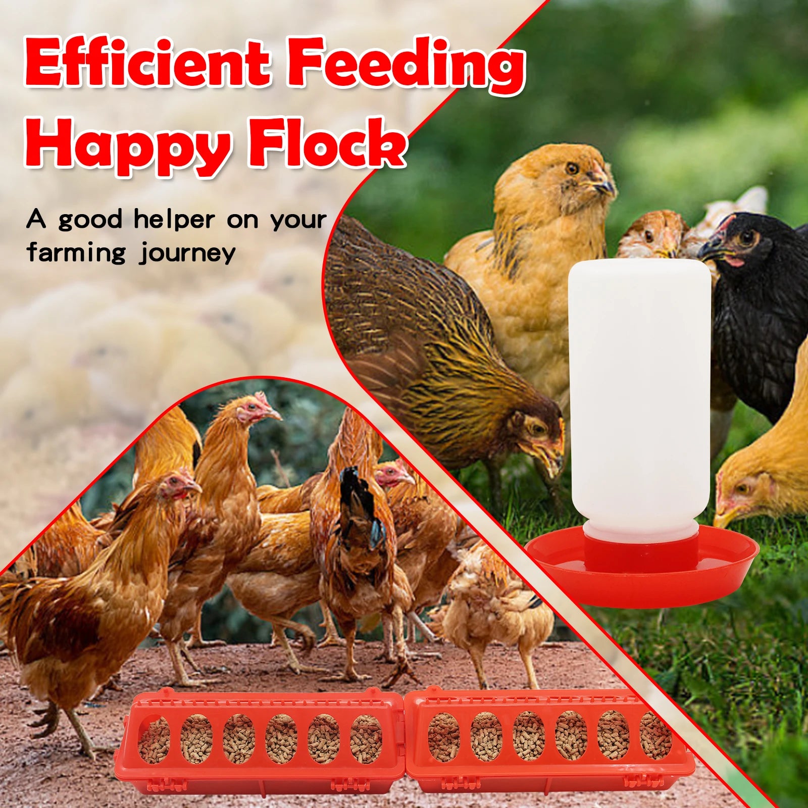Automatic Chicken Feeder and Water Dispenser — Small Animal Feeding Station