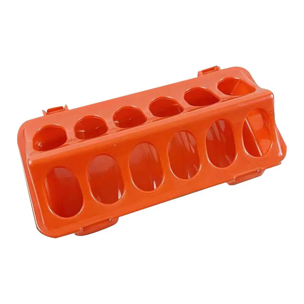 Automatic Chicken Feeder and Waterer — Large Capacity Poultry Feeding Station
