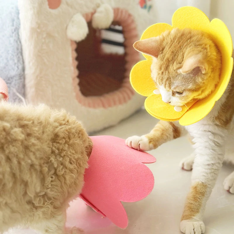 Pet Protective Recovery Cone — Anti-Bite Collar for Wound Healing