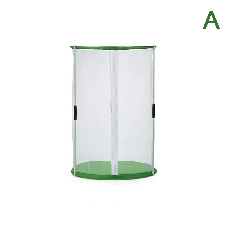 Butterfly Observation Cage — Portable Insect Habitat for Nature Study
