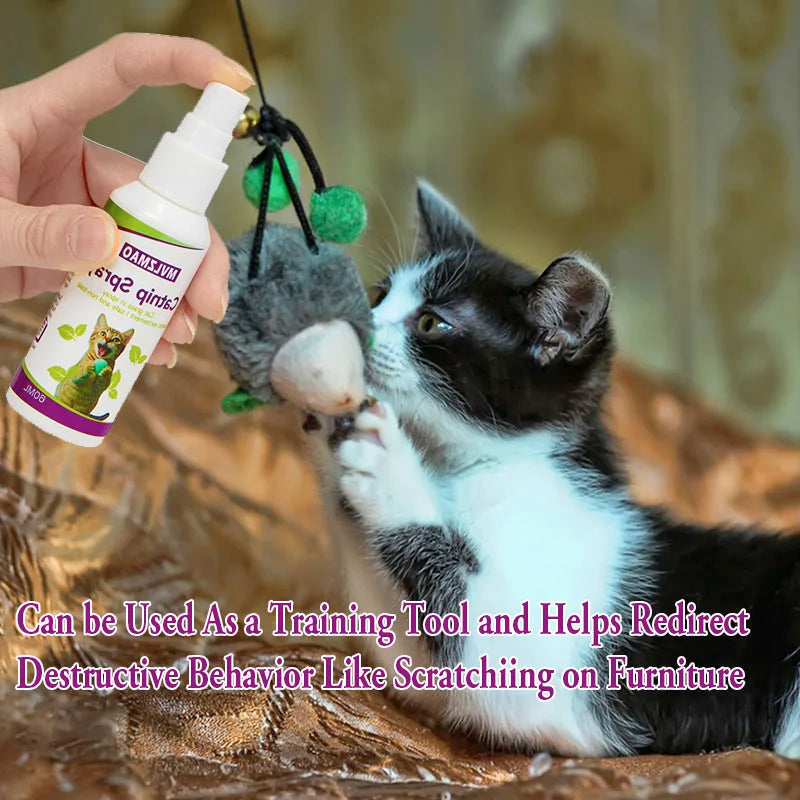 Catnip Behavior Spray — Playful Stimulant & Stress Relief Mist