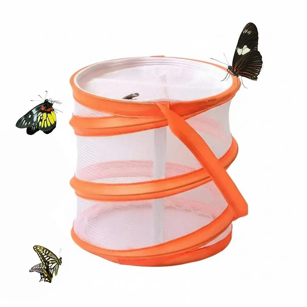 Foldable Insect Observation Cage & Catching Net — Portable Nature Study Kit