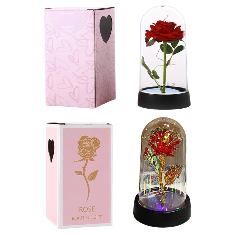 Eternal Rose in Glass Dome — LED Light Decorative Flower Gift