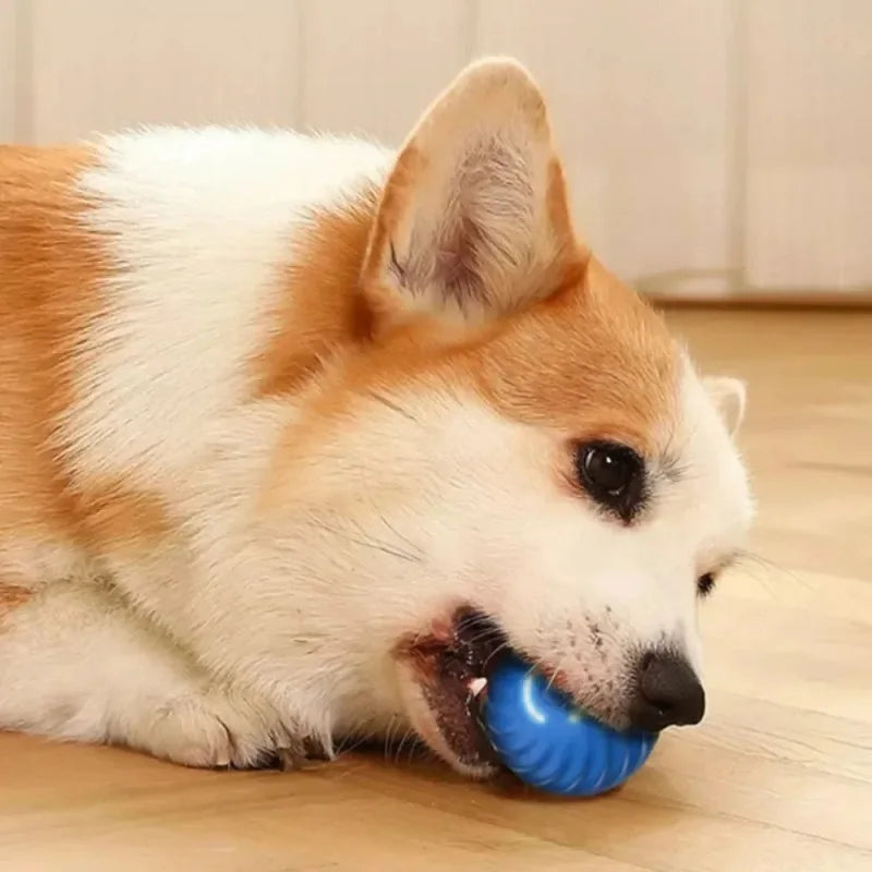 Automatic Moving Dog Toy Ball — Interactive Bouncing Puppy Toy