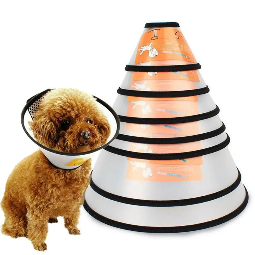 Despitego Pet Protective Recovery Collar — Soft Elizabethan Cone for Dogs and Cats